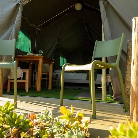 Safari Glamping Portugal Lion