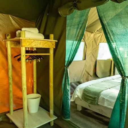 Safari Glamping Portugal Lion *