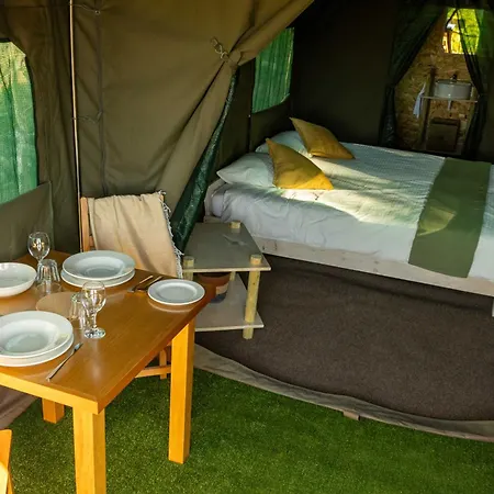 Safari Glamping Portugal Lion *