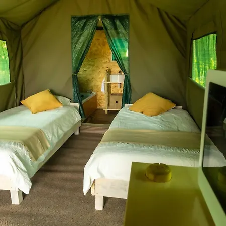 Safari Glamping Portugal Lion *