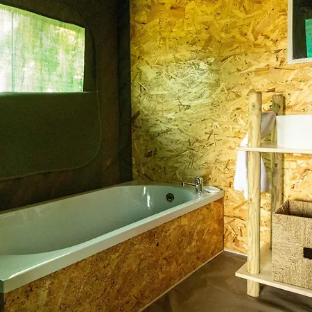 Safari Glamping Portugal Lion *