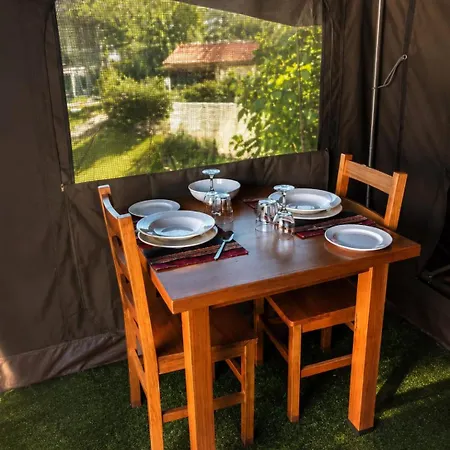 Safari Glamping Portugal Lion