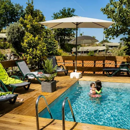 Safari Glamping Portugal Lion *