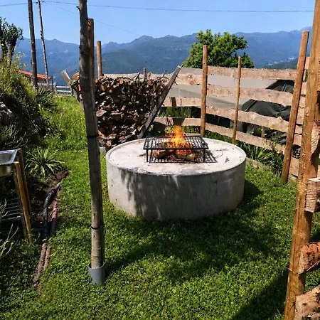 Οργανωμένο κάμπινγκ Safari Glamping Portugal Lion