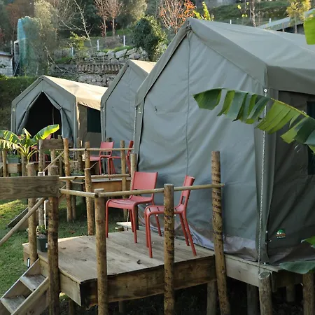 Safari Glamping Portugal Lion *
