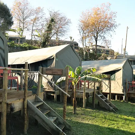 Safari Glamping Portugal Lion