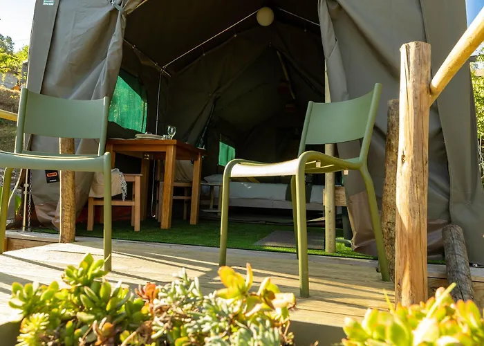 Safari Glamping Portugal Lion