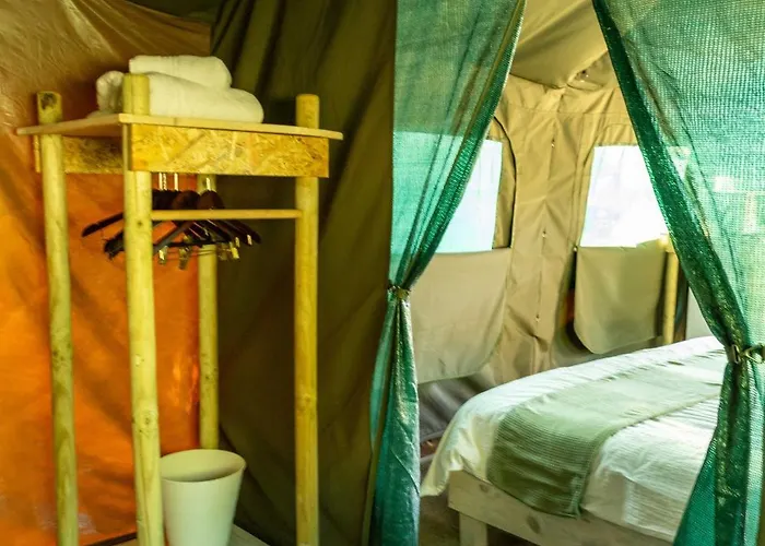 Safari Glamping Portugal Lion *
