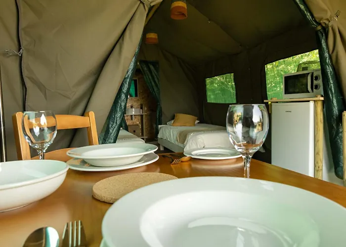 Safari Glamping Portugal Lion