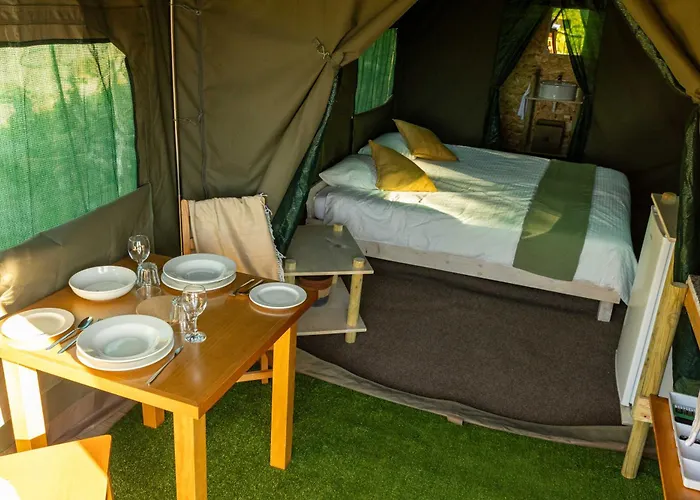 Safari Glamping Portugal Lion *